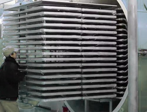 寵物食品凍干機生產廠家 技術革新與市場需求